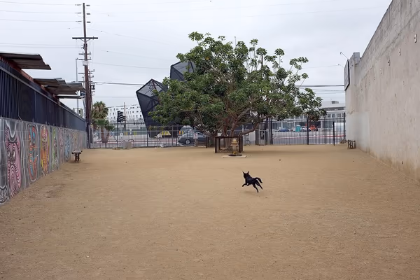 Arts District Dog Park